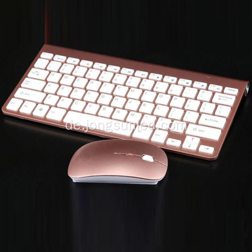 Hochwertige kabellose Tastatur und Maus für Mac